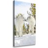 Vertikálny foto obraz na plátne Dva bieli vlci 50x100 cm