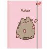 Teczka z gumką A4 300 g/m2. Pusheen 3