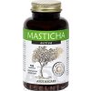 APOTHECARY s.r.o. MASTICHA ACTIVE - Apothecary - 1x100 ks