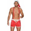 Obsessive Mr Claus boxerky