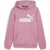 Puma Ess Logo Hoodie K 587031-51