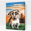 Vymalujsisam.sk Maľovanie podľa čísiel - Anglický buldog na záhrade Veľkosť: 40x60cm, Rám: Na plastovej doske