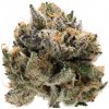 Growers Choice - Tropical Cookies Double XL Auto 3 ks - Semená neobsahujú THC