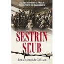 Kniha Sestrin sľub - Rena Kornreich Gelissen