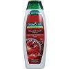 Palmolive šampón Brillinat Color - Pomegranate 350ml