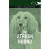 Afghan Hound - A Complete Anthology of the Dog - (Various (selected by the Federation of Children's Book Groups))(Brožovaná)