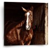 Sablio Obraz Kôň v stajni - 50x50 cm