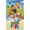 DETEXPOL Detský uterák Paw Patrol beach Bavlna Froté, 50/30 cm