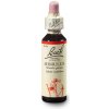 Kejklířka skvrnitá (Mimulus) 20 ml Bachovy originální květové esence