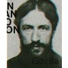 Piet Mondrian: Mondrian Evolution Mondrian Piet