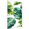 Vertikálny foto obraz fotografie na skle Tropické listy 50x100 cm