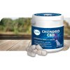 Fortify Chondro CBD 60 tbl