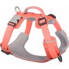 Red Dingo postroj Sport Hi-Vis Peach 25 mm × 75-112 cm