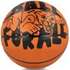 Basketball Nike Playground Outdoor 100 4371 811 05 (125516) 5