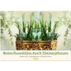 Bestes Raumklima durch Zimmerpflanzen (Wandkalender 2026 DIN A4 quer), CALVENDO Monatskalender