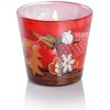 Bartek Candles Gingerbread with Cinnamon and Apple note 115 g