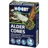 Alder Cones 50x