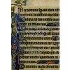 Studies in Manuscript Illumination, 1200-1400 (Lucy Freeman Sandler)(Pevná)