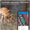 Tractive GPS DOG XL – sledování polohy a aktivity pro psy - zelený