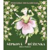 Šípková růženka (Klára Trnková; Klára Trnková)