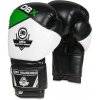 Boxerské rukavice DBX BUSHIDO B-2v6 14 z.