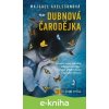 Dubnová čarodějka - Majgull Axelssonová