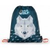 Oxybag vlk