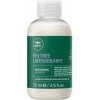 Paul Mitchell Tea Tree Lavender Mint Moisturizing Shampoo 75 ml