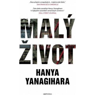 Malý život - Hanya Yanagihara