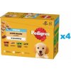 Pedigree Junior Junior v želé s kuracím jahňacím hydinovým a hovädzím mäsom 48 x 100 g