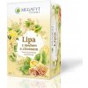 Megafyt Ovocný Lipa s medom a citrónom 20 x 2 g