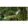 Foto obraz sklo tvrzené Vodopád v džungli 100x50 cm