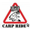 R-Spekt Nálepka Carp Ride