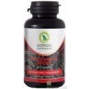 Moringa Caribbean RED MORINGA SPORT 120 kapsúl