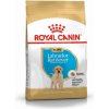 Royal Canin Labrador Puppy 2x12 kg