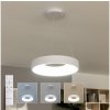 | Brilagi - stmievateľný LED luster na lanku FALCON II LED/67W/230V pr. 40 cm biela + DO | BRDC2668-400/BI