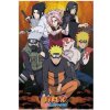 Plagát, Obraz - Naruto Shippuden, (61 x 91,5 cm)