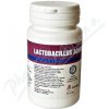 Lactobacillus acidophilus bez laktózy 60 kapsúl