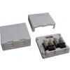DATACOM UTP 2xRJ45 zásuvka CAT6 na omietku (protiprachová) (2336)