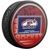 Inglasco / Sherwood Puk USA Hockey Team Star