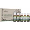 Saloos Esenciální oleje Domácí aroma lékárnička 5 x 10 ml
