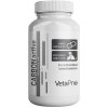 VetaPro CarbonActive tráviaci adsorbent pre psov a mačky 20cps