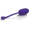 CalExotics Kegel Ball Starter