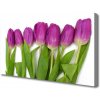 Obraz na plátne Tulipány kvety rastlina 100x50 cm