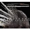 Martin Brunner - Vernissage CD