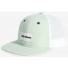 Čiapka Salomon Trucker Flat Cap - aqua foam