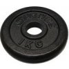 Spokey SINIS litinový kotouč 1kg otvor 29mm DOPRODEJ