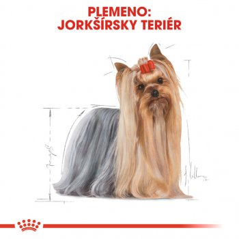 Royal Canin Yorkshire Terrier Adult 3 kg