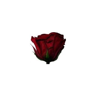 Darčeková stabilizovaná ruža - tmavo červená