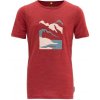 Devold Molnes Merino Tee Jr Beauty